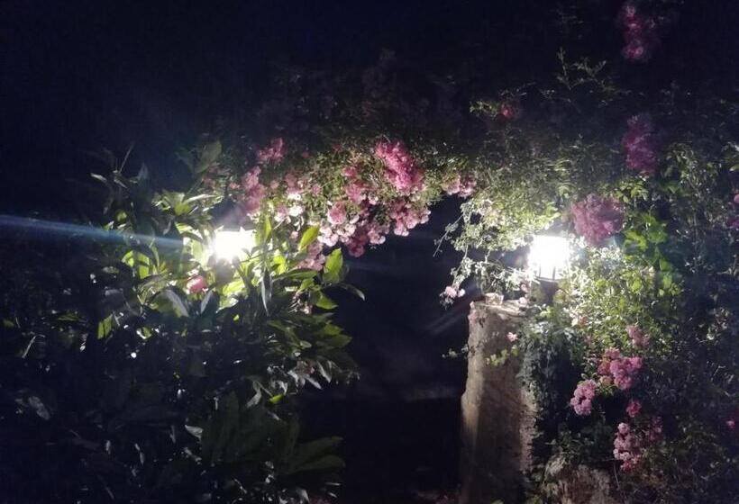 Bed and Breakfast Maison Du Cheval