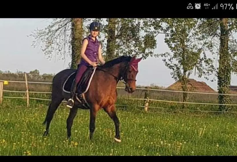 ベッドアンドブレックファースト Maison Du Cheval