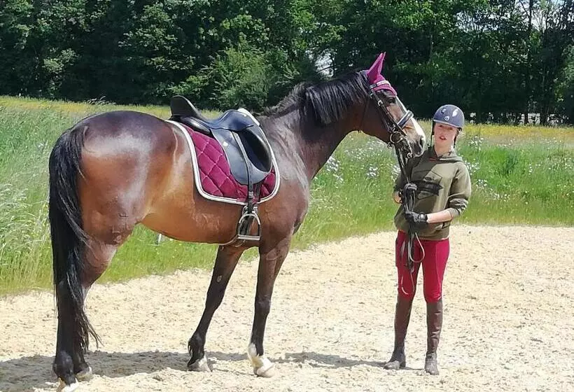 ベッドアンドブレックファースト Maison Du Cheval