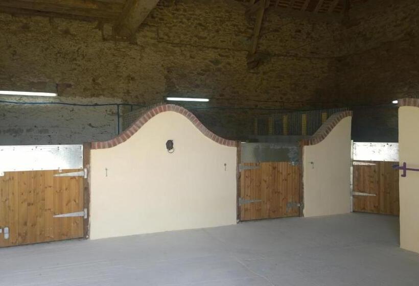 Bed and Breakfast Maison Du Cheval