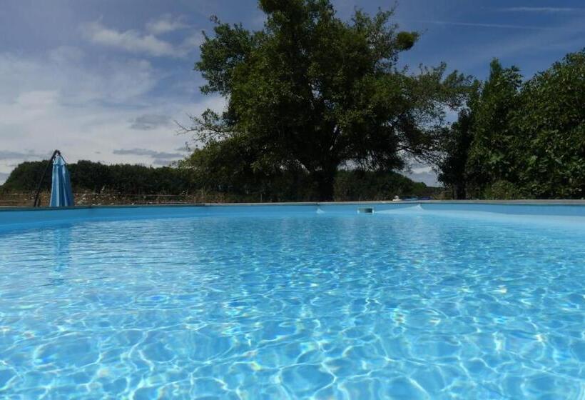 Bed and Breakfast Maison Du Cheval