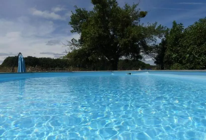 ベッドアンドブレックファースト Maison Du Cheval