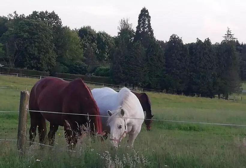 ベッドアンドブレックファースト Maison Du Cheval