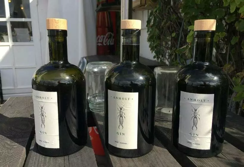 Casablanca Hostel, Hyggelig Overnatning