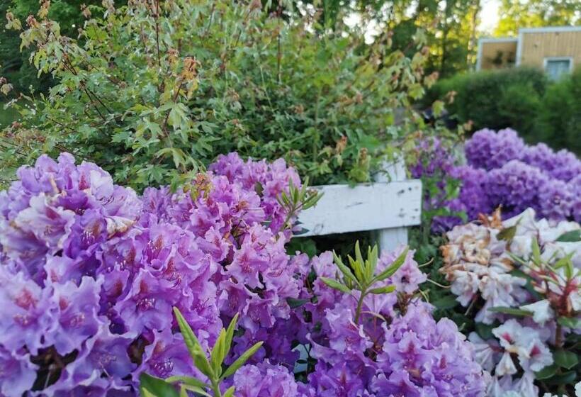 Frederiksværk Camping & Hostel