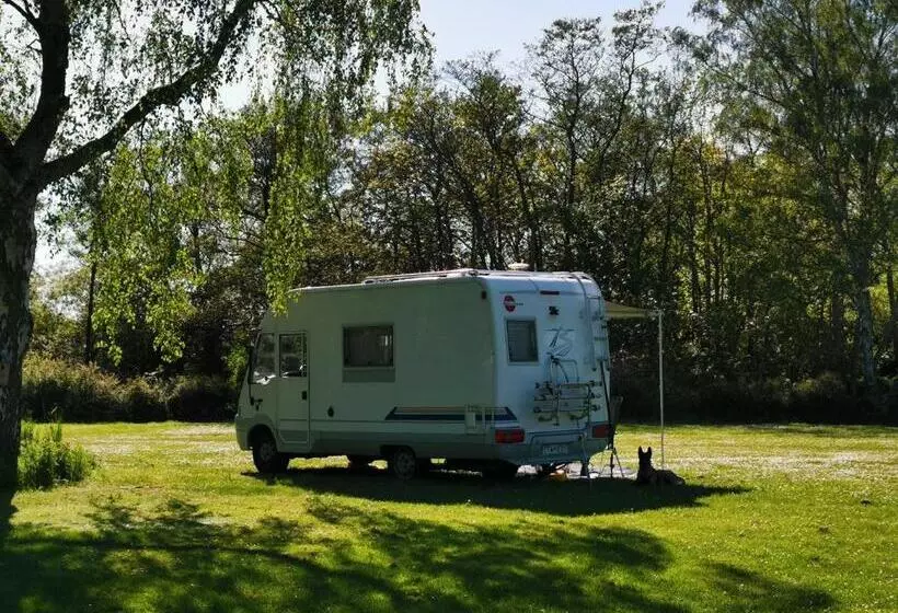 Frederiksværk Camping & Hostel