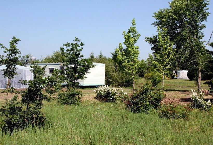 Отель Camping Baradis