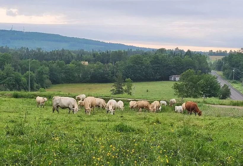 Hotelli Crabbe Mountain Inn