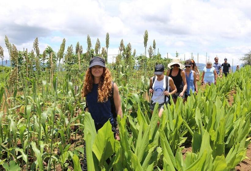 בית מלון כפרי Kinkara Luxury Retreat