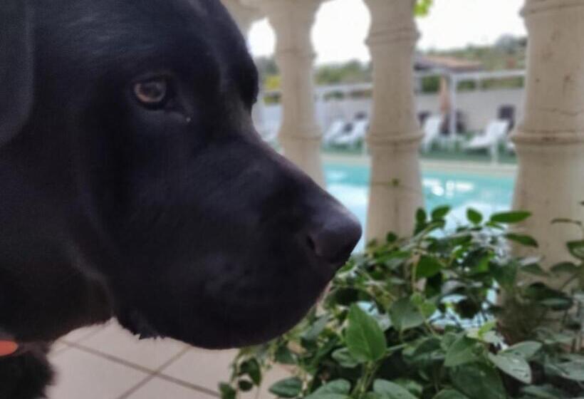 בית מלון כפרי Agriturismo Al Passaggio Di Pirro