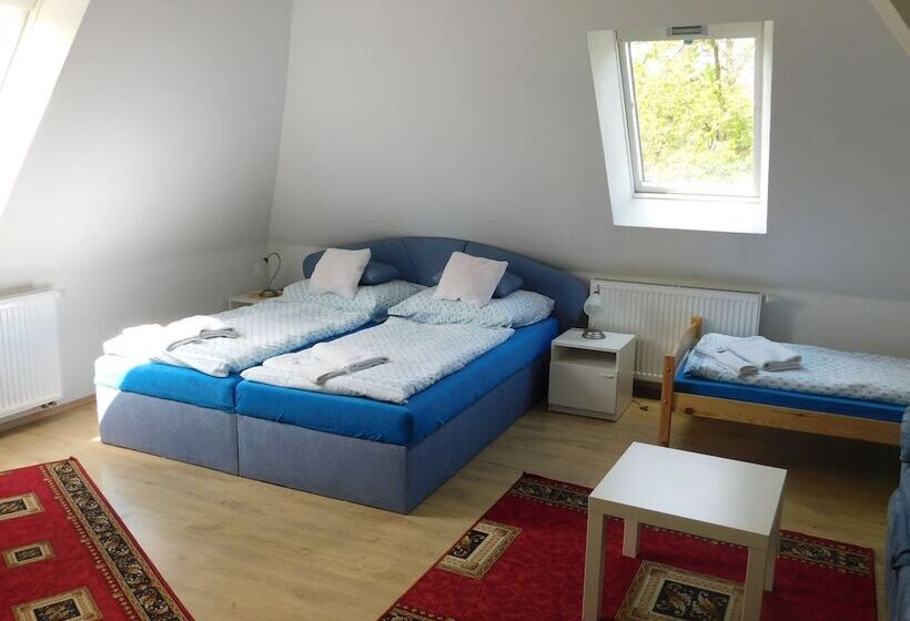 Отель Vila Arnau