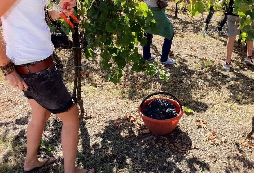 Il Sassoscritto Bed And Breakfast