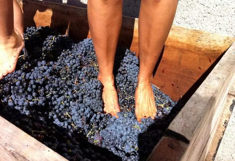 Il Sassoscritto Bed And Breakfast