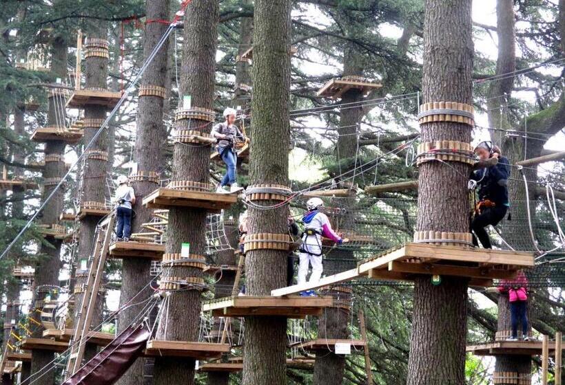 Il Sassoscritto Bed And Breakfast