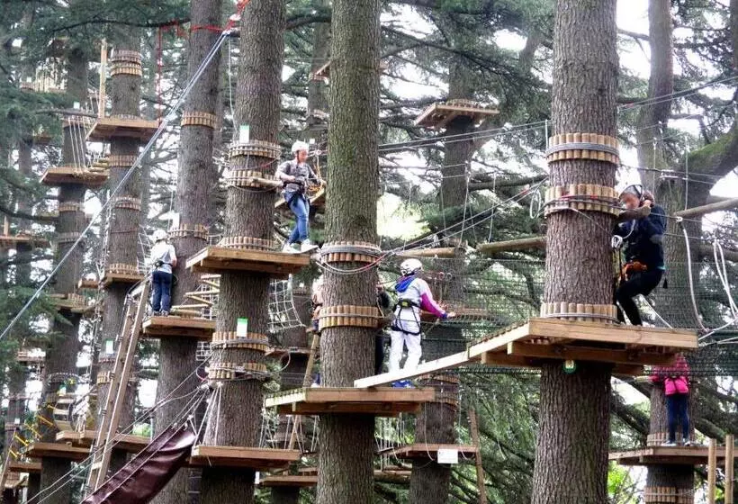 Il Sassoscritto Bed And Breakfast