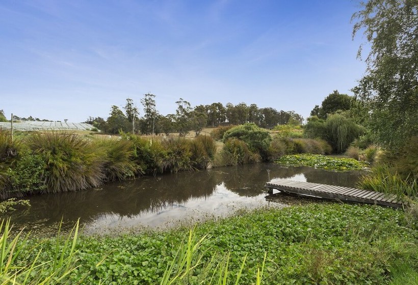 Loira Vines Hideaway