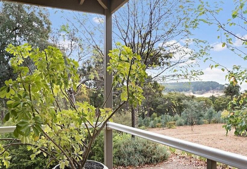 Margies On Mt Franklin