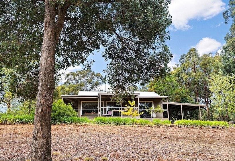 Margies On Mt Franklin