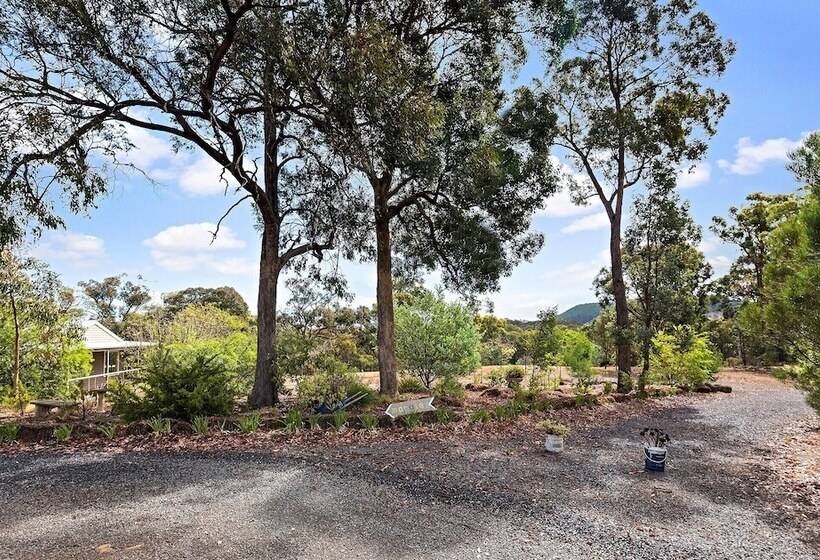 Margies On Mt Franklin