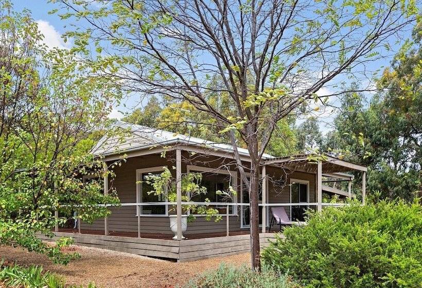 Margies On Mt Franklin