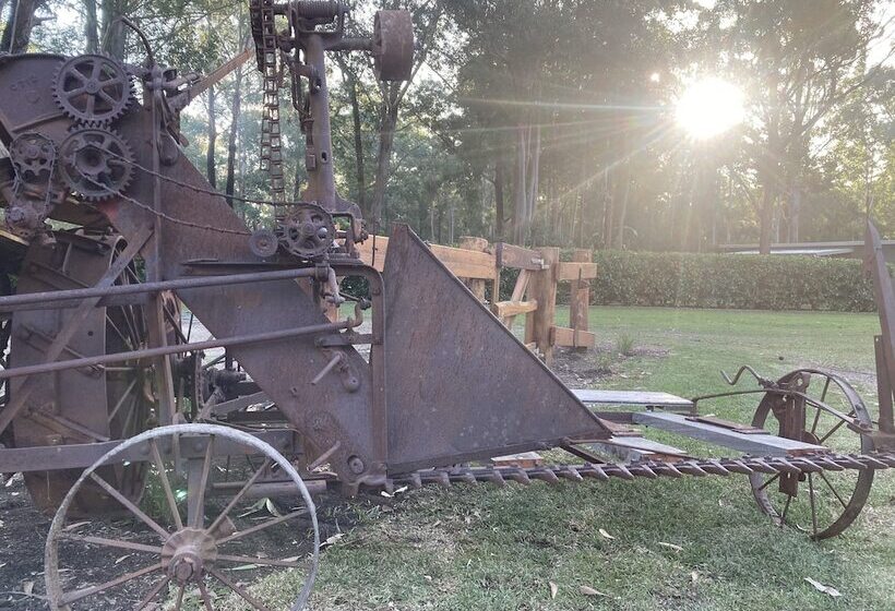 Mistinthegumtrees Eco Luxury Cabins