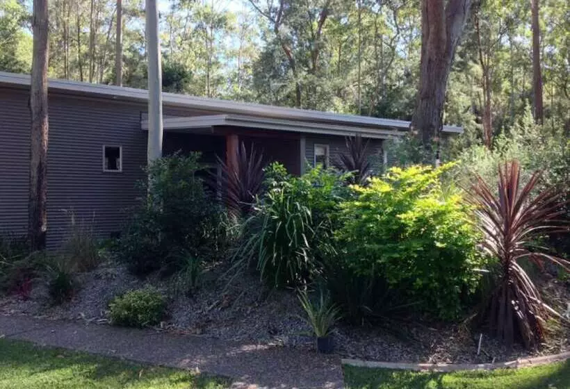 Mistinthegumtrees Eco Luxury Cabins