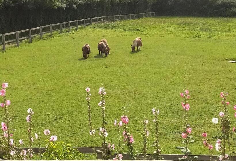 ペンション Gîte La Bourgetterie Fontenay Sur Mer