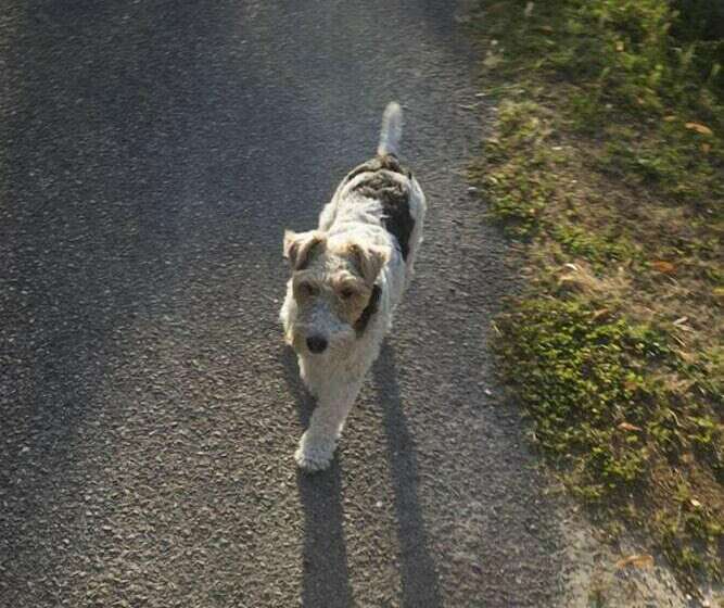 بنسيون Mas De La Montagne