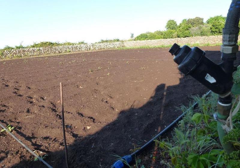 Agriturismo Nuragh Elighe