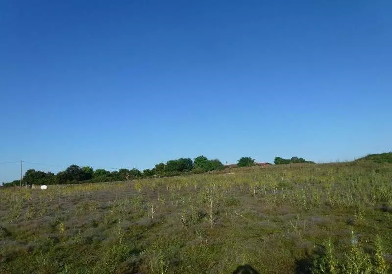 Agriturismo Nuragh Elighe