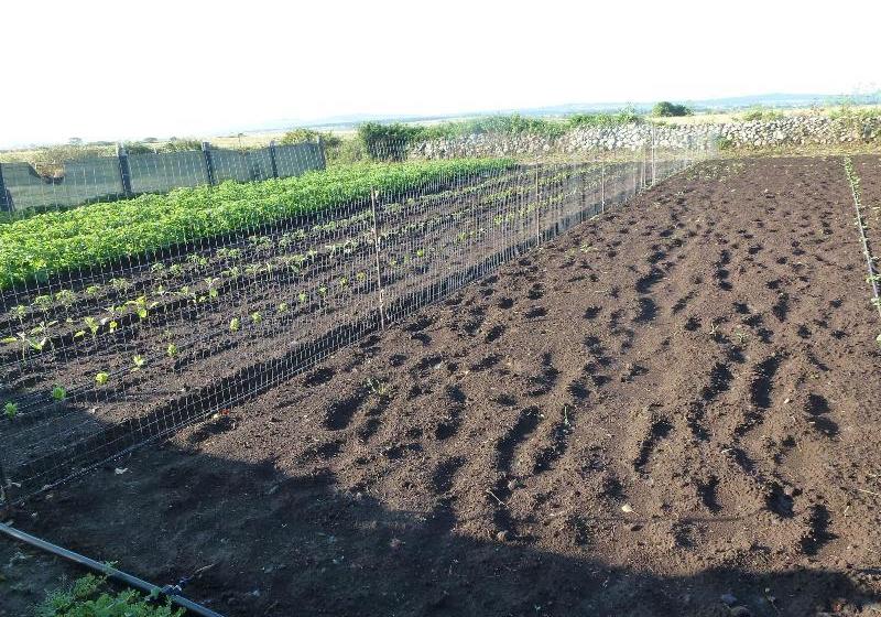 Agriturismo Nuragh Elighe