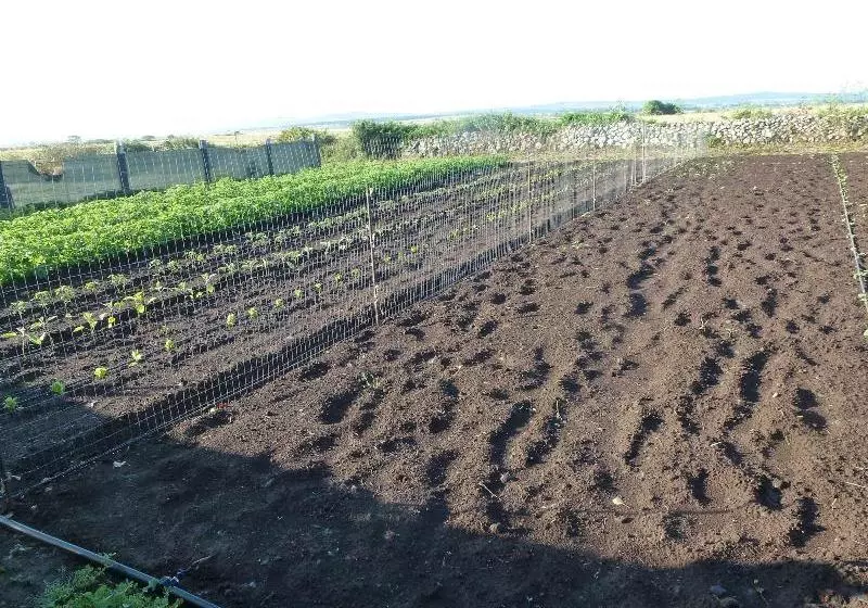 Agriturismo Nuragh Elighe