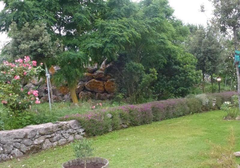 Agriturismo Nuragh Elighe