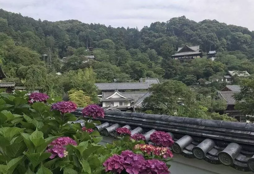 Asuka Guest House   Hostel