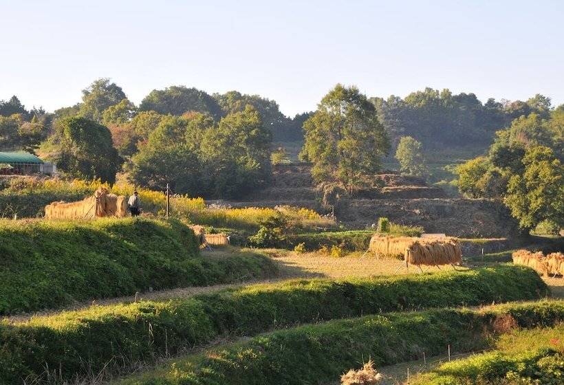 Asuka Guest House Hostel