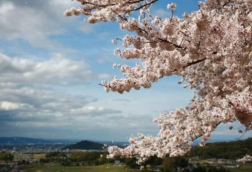 Asuka Guest House   Hostel