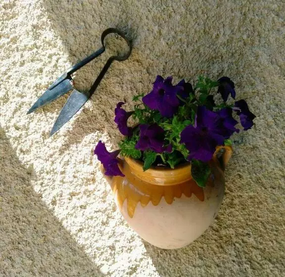 Aamiaismajoitus (B&B) Chez Bouju