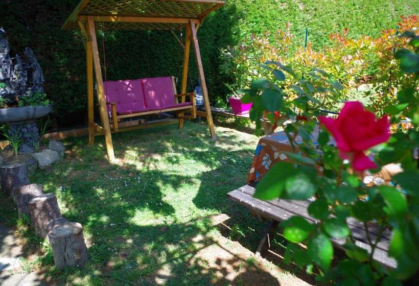 Bed and Breakfast Maison Elizondoa