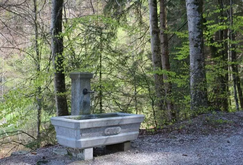 Hotelli Hôtel Restaurant Du Vanil Noir