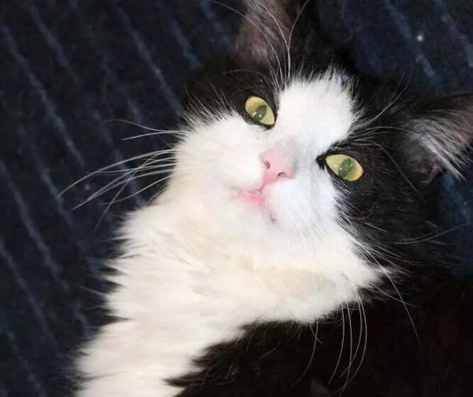 Hotelli Hôtel Restaurant Du Vanil Noir