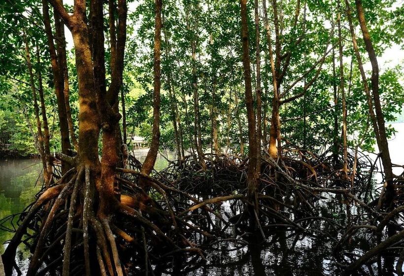 فندق Thansur Tatai Eco Resort