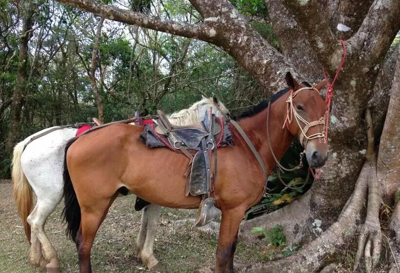 Hotelli Malekus Mountain Lodge