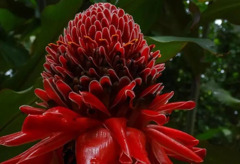 Hotelli Malekus Mountain Lodge