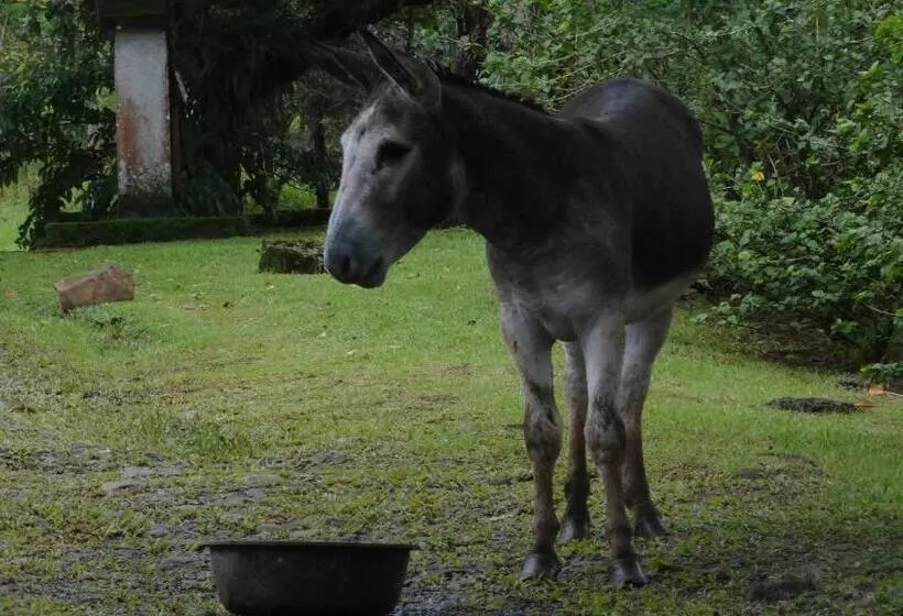 Hotelli Malekus Mountain Lodge