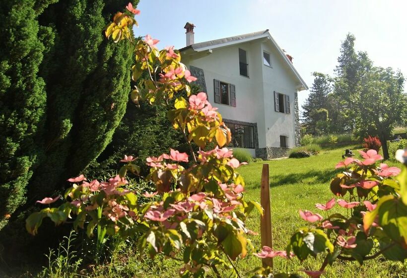 L'assiolo B&b