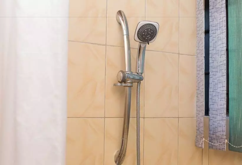 Traveller's Palm Court