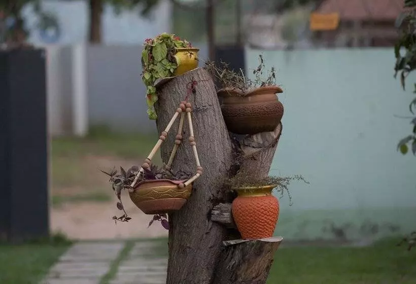 Traveller's Palm Court