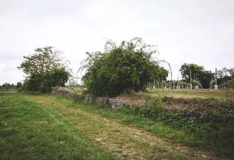Weingut & Landhotel Lucashof