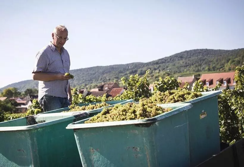 Weingut & Landhotel Lucashof