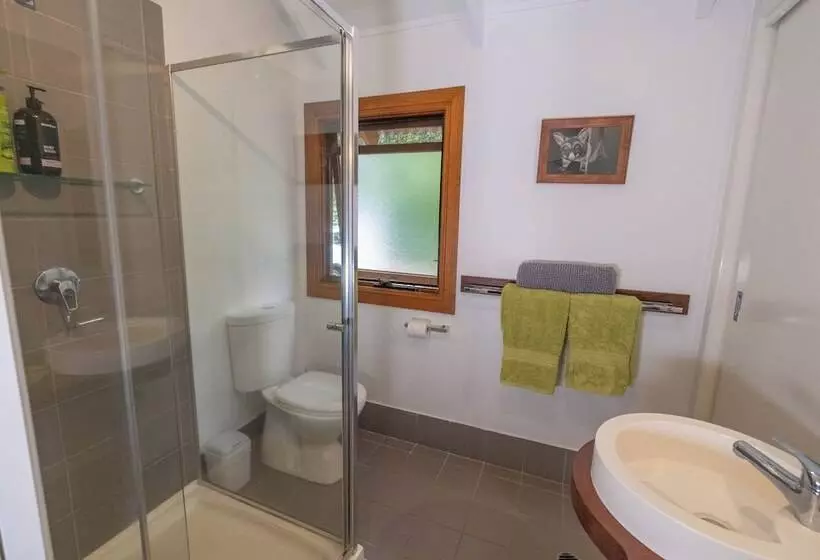 Airlie Beach Eco Cabins   Adults Only